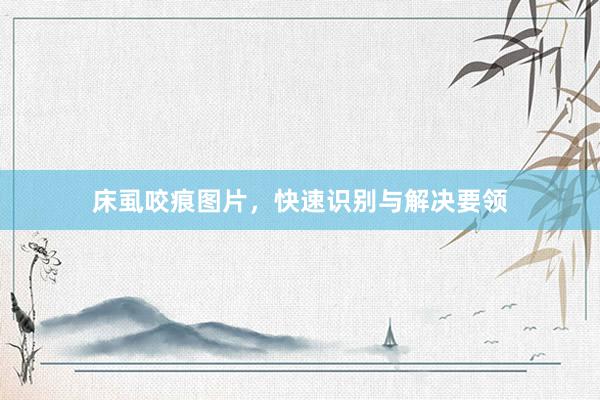 床虱咬痕图片，快速识别与解决要领