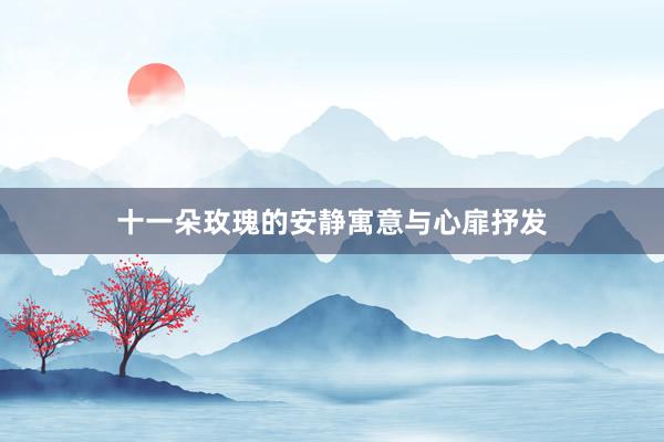 十一朵玫瑰的安静寓意与心扉抒发