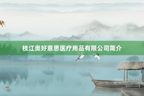 枝江奥好意思医疗用品有限公司简介