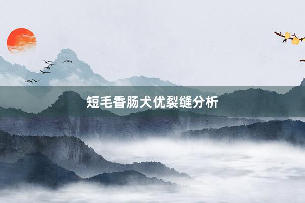 短毛香肠犬优裂缝分析