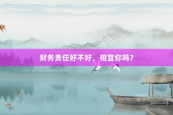 财务责任好不好，相宜你吗？